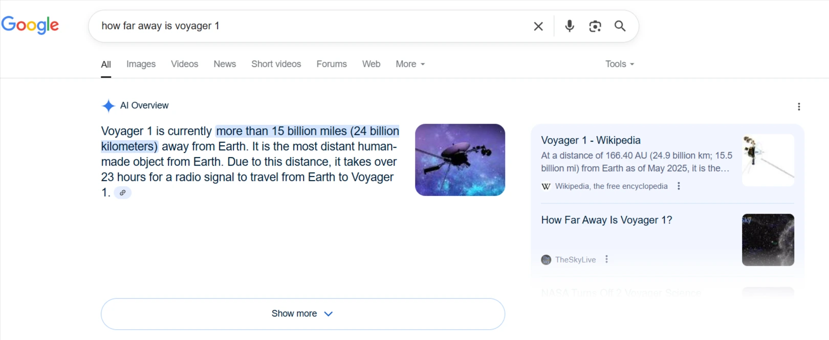 AI Overview Example