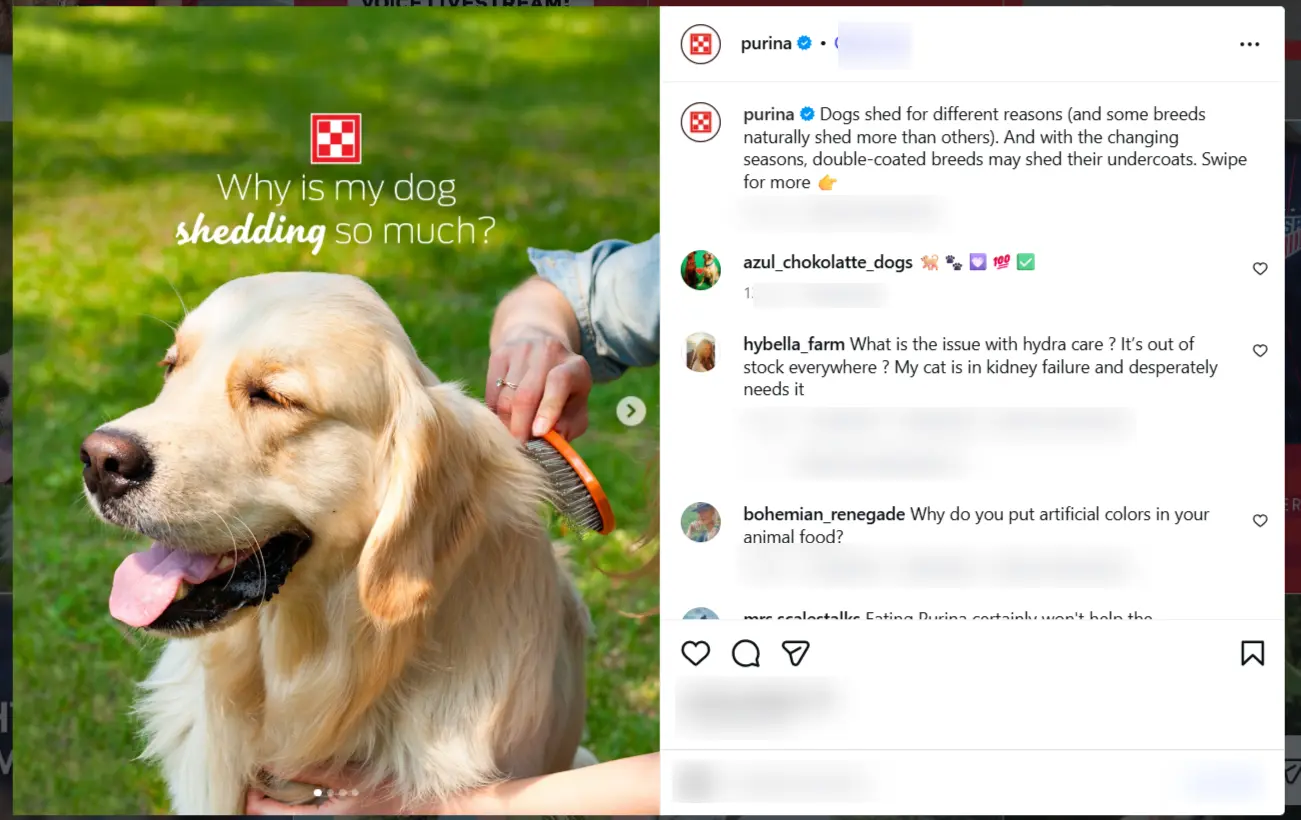 Dog Shedding Instagram post