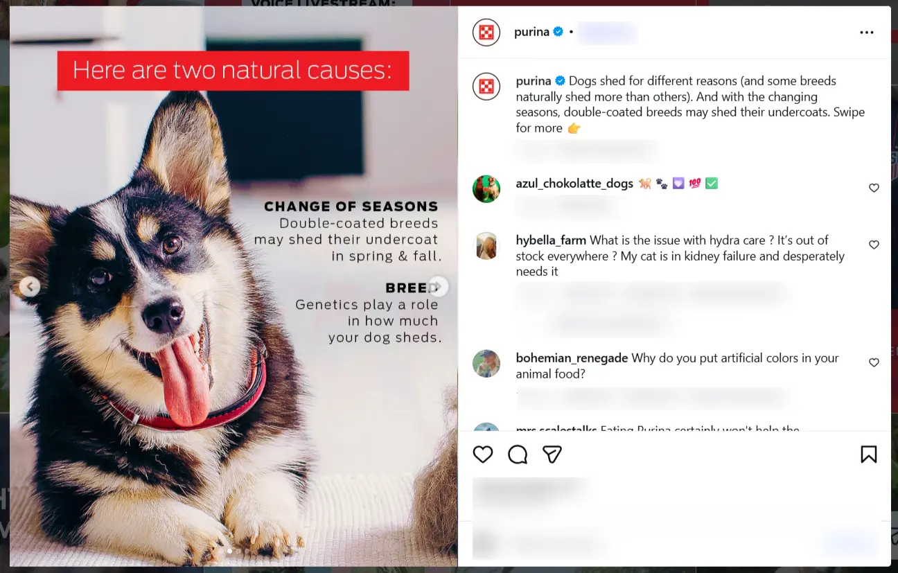 Purina Instagram post